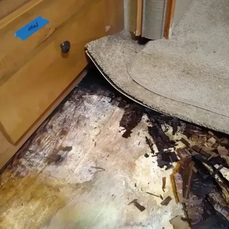 Wood Floor Water Damage in Marion, IL